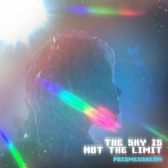 THE SKY IS NOT THE LIMIT