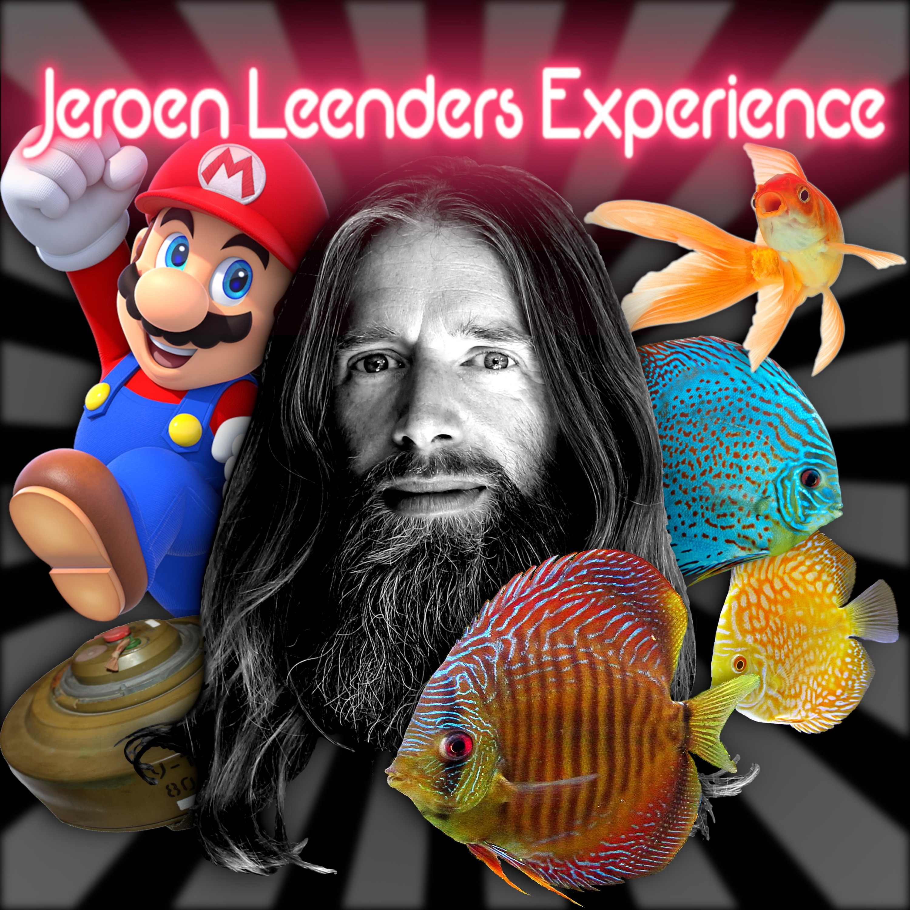 Jeroen Leenders Experience