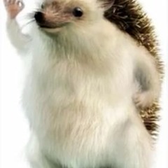 Deepwoken Aelita MrBeast (MADE BY Vendy#1946 ON DISCORD NOT ME!!!!)