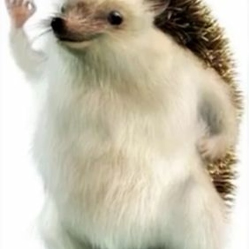 Deepwoken Aelita MrBeast (MADE BY Vendy#1946 ON DISCORD NOT ME!!!!)