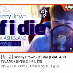 Skinny Brown - if i die [Cover by 핫도규]