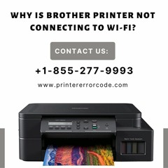 Guide To Fix: Brother Printer Not Connecting To WiFi