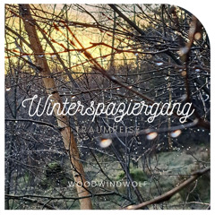"Winterspaziergang" - Traumreise