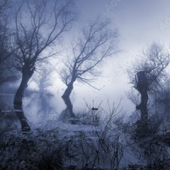 Fading Memories (WIP clip) (Unsigned Jungle track)