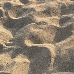 Leben am Sand ll