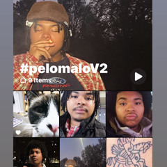 its plastic its fake  p. by djshippy