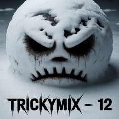 Trickymix - 12 (Mixed by Trickyskill)