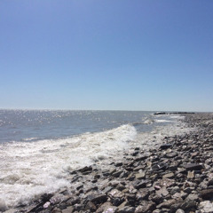 Saltwater Taffy