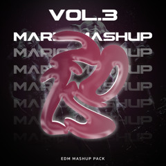 MARIO MASHUP 2025 Vol.3 (BASS HOUSE)