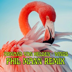 Armand van Helden - Wings (Phil Mann Remix)