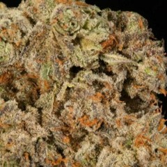 Crazy - Instrumental Version