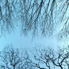 Forever Winter (demo)