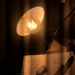 bichinhos da lâmpada