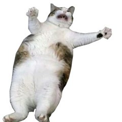 Smooth Stone Temperament motif