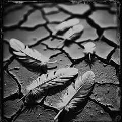 Clipped Wings
