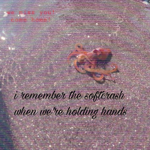 softcrash