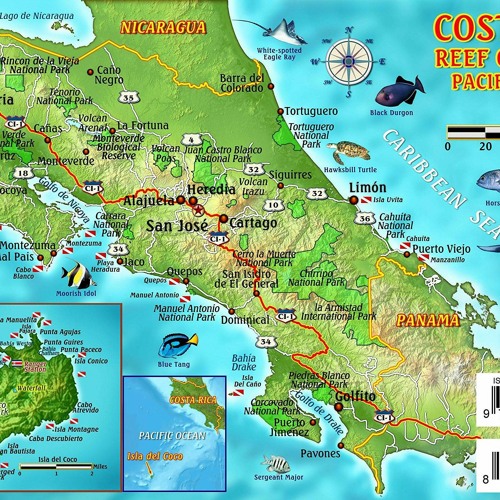 Где находится остров коста рика Stream episode Read ebook PDF Costa Rica Dive Map & Pacific Reef Creatures Guide