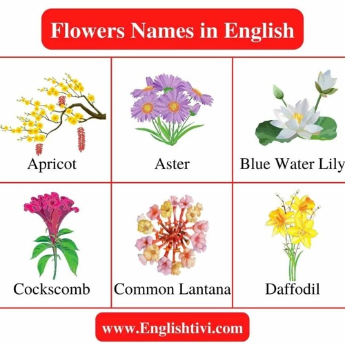 Stream 100 Flowers Name In Tamil Pdf [Extra Quality] Free from Kevin ...