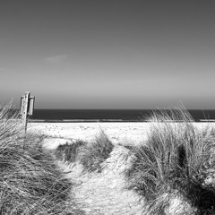 Dubbing the waves