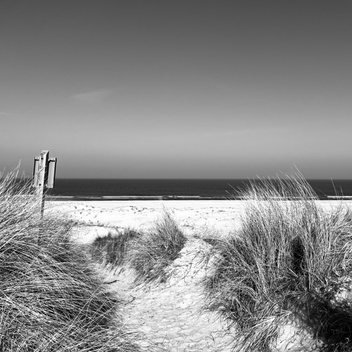 Dubbing the waves