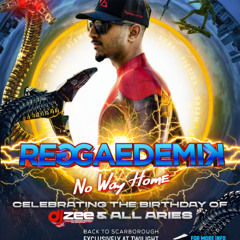 DJ ZEE - REGGAEDEMIK NO WAY HOME
