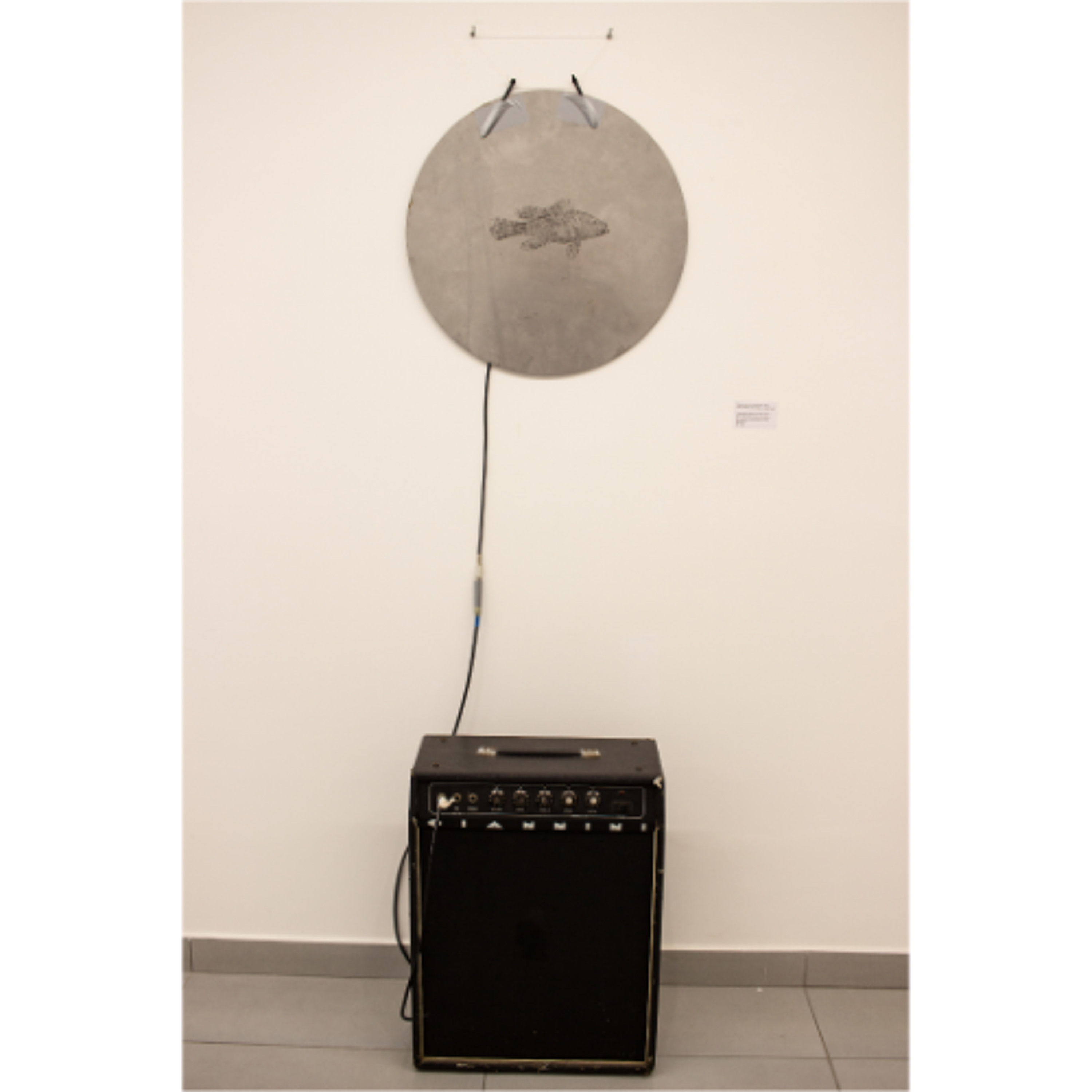 Free City Radio