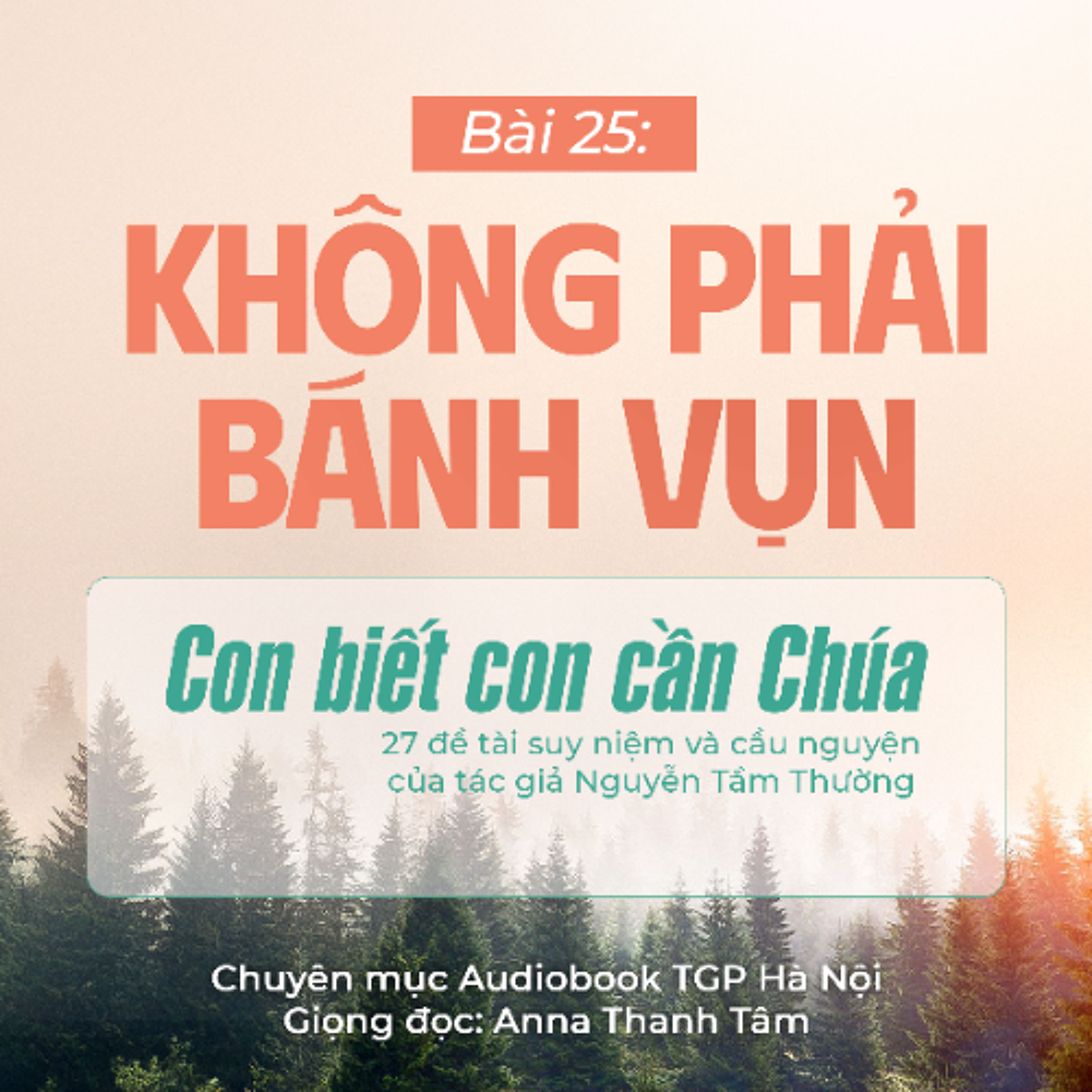 #25 Không phải bánh vụn || Con biết con cần Chúa || Tác giả Nguyễn Tầm Thường