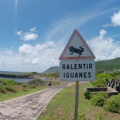 Quatre-Quarts dans un taxi - Soam
