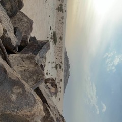 حسين العلي - لا ذكرت الماضي (جلسة)