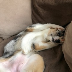 I've Told You Once Before