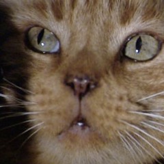 Jonesy's lucky escape from Nostromo