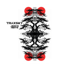 Traxsky @ Buddhafield Festival (UK)