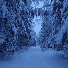 Winter playlist 2025-26