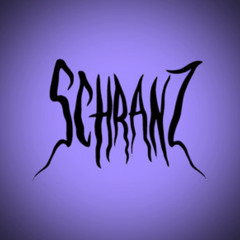SCHRANZ SET 163 BPM | Bass Blaster