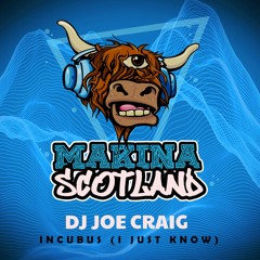 Dj Joe Craig - Incubus (I Just Know) (Radio Mix)