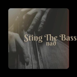 Sting The Bass