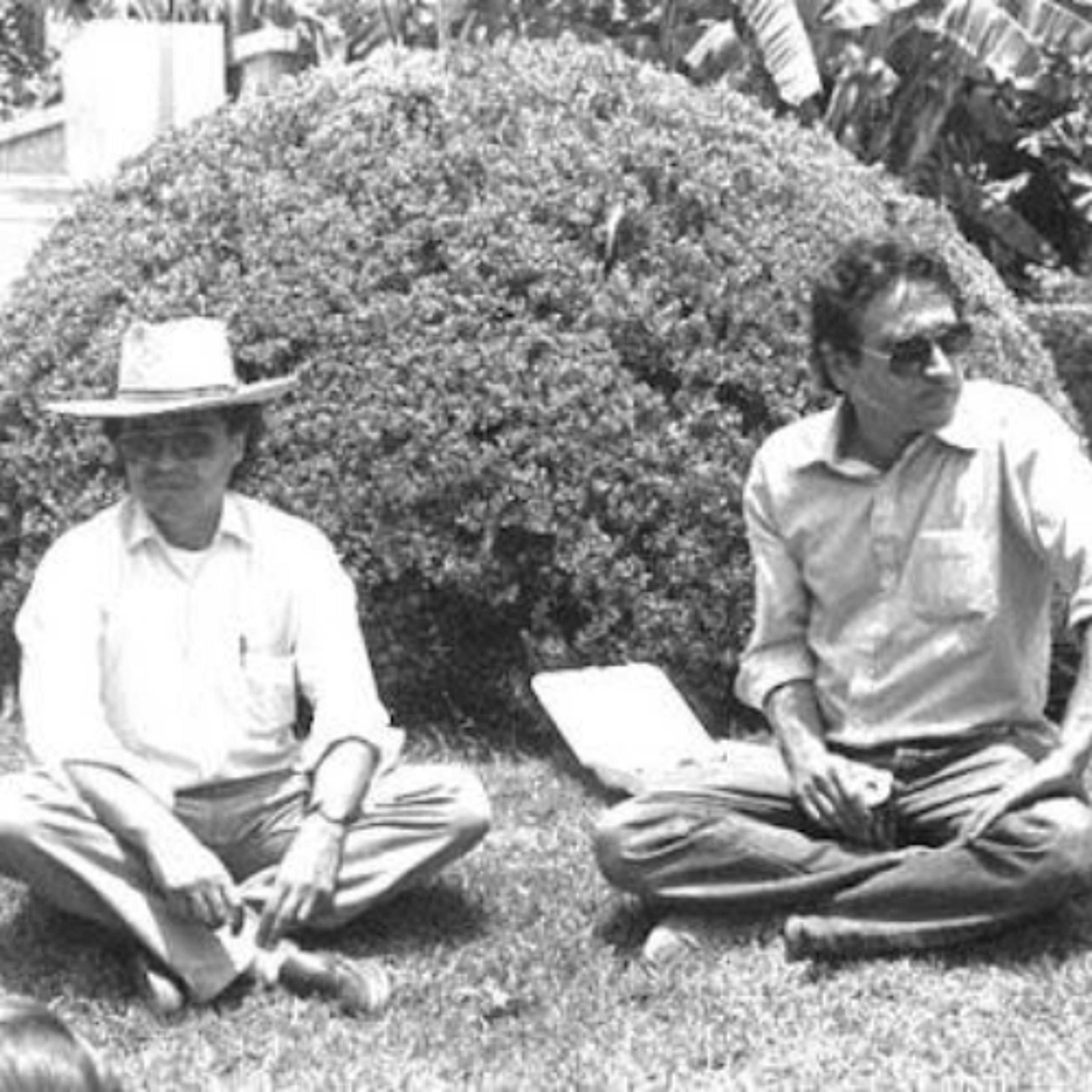 Further discussion of Murray Mednick and Padua (Lecture 10)