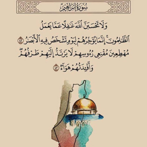 أسلام صبحي(وَلَا تَحْسَبَنَّ اللَّهَ غَفِلًا عَمَّا يَعْمَلُ الظَّٰلِمُونَ)