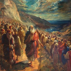 THE LONG WALK (Prod. By davidtamas)