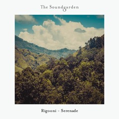 RIGOONI  -> The Soundgarden