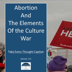 Abortion And the Elements of the Culture War