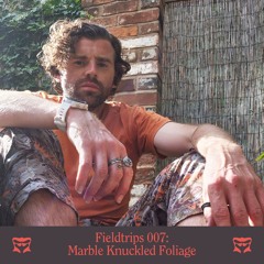 Fieldtrips 007: Marble Knuckled Foliage