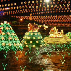 #TBT DICIEMBRE  2018-2019 .... (G😼Festival ) Guaracha!🎄🎶💃🏻