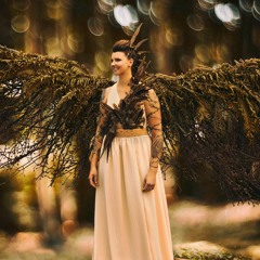 Spirit Bird - Set You Free