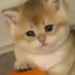 liquid smooth - mitski - (sped up)
