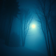 The Light That Faded