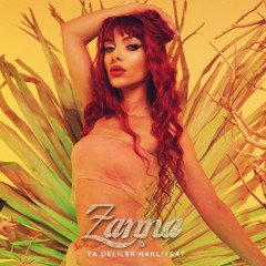 Zanna - Ya Deliler Haklıysa