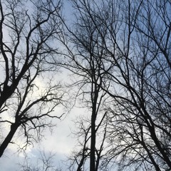 All That We Perceive (Thievery Corporation Cover) - Chris J. Smith & Lynley Evans