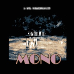 Sekuhlwile .mp3