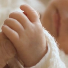 うまれたての言葉